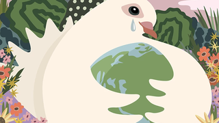 A propósito de la Jornada Mundial de la paz 2025