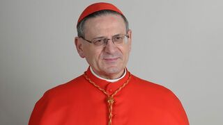 El cardenal Amato