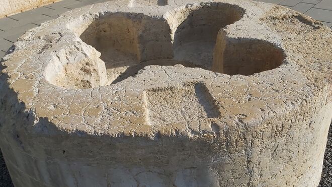 9 de enero: Profesión de fe