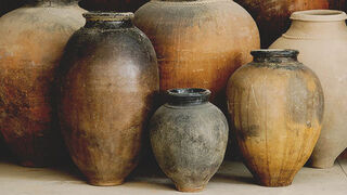 En Caná, comienzan los signos del reino rebosando de abundancia