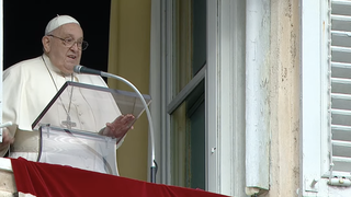 Francisco, durante el ángelus