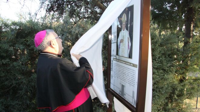 José Rodríguez Carballo