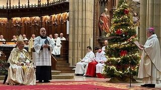 El cardenal Tolentino, en la apertura del jubileo de la diócesis vasca