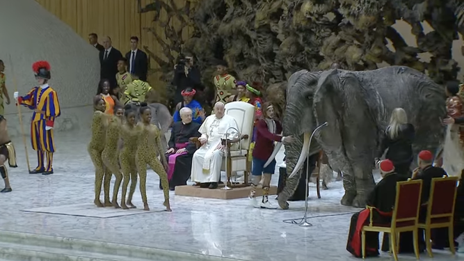 El Papa observa la exhibición circense durante la audiencia general