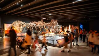 Exposición Dinosaurios de la Patagonia en CaixaForum Madrid