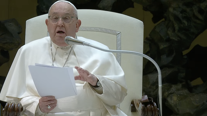 Francisco, en la catequesis de los miércoles