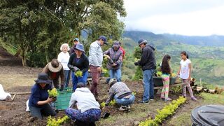 Cuidado de la creación