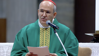El cardenal Tolentino lee la homilía de Francisco