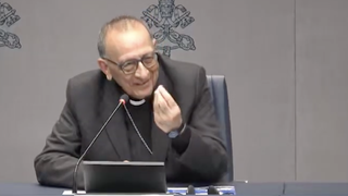 Omella, en el Vaticano