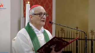 Zuppi durante el rezo del ángelus