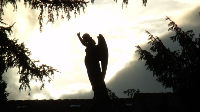 “El Vicario general” de Vitoria es el último “cebo” usado por los estafadores