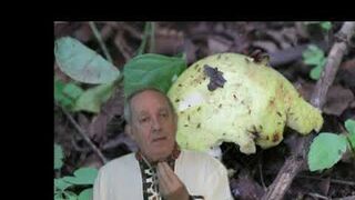 Los dirigentes de la comunidad deben pasar por el filtro de la fidelidad