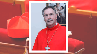 El cardenal salesiano Ángel Fernández Artime