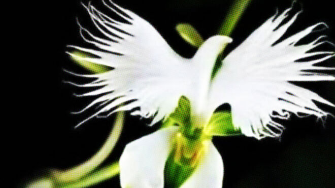 Espiritualidad