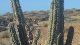 Jesús vence las fuerzas del anti-reino e inicia el Reino de Dios para los pobres de la tierra