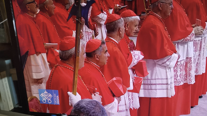 Cardenales
