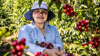 Oikocredit organiza el coloquio ‘La ruta del café: finanzas éticas y comercio justo’