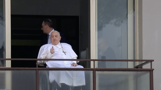 El Papa hace el gesto de saludo a los fieles