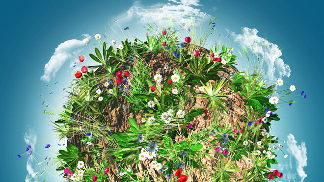 Gaia: La Tierra viva engendra a todos los seres vivos y a nosotros