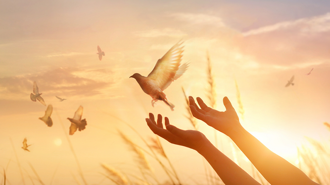 El camino hacia la reconciliación