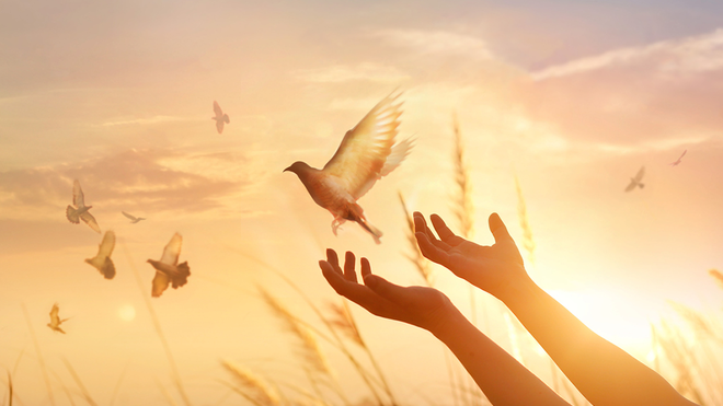 El camino hacia la libertad