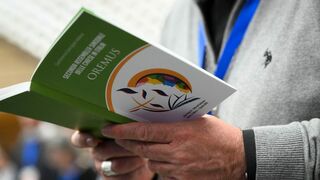 Asamblea sinodal italiana