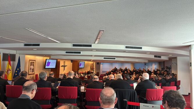Asamblea Plenaria