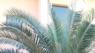 13 Abril: Domingo de Ramos