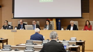 El Defensor del Pueblo, ayer, en el Congreso