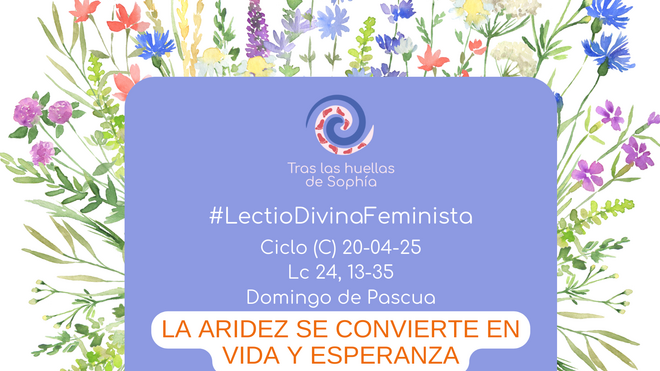LA ARIDEZ SE CONVIERTE EN VIDA Y ESPERANZA