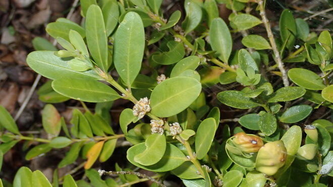 14 de abril: Lunes Santo