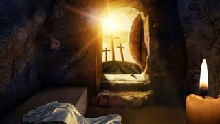 Hoy también se nos revelan los signos de la resurrección en los que se juega nuestro creer o no creer