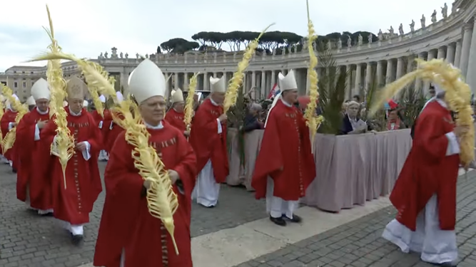 Obispos y cardenales portan los ramos