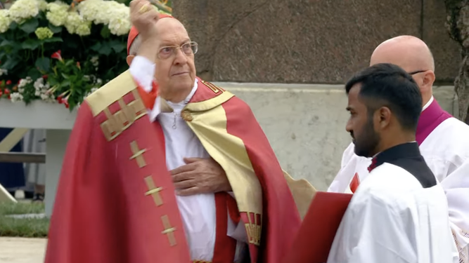 El cardenal Sandri bendice los ramos al inicio de la ceremonia