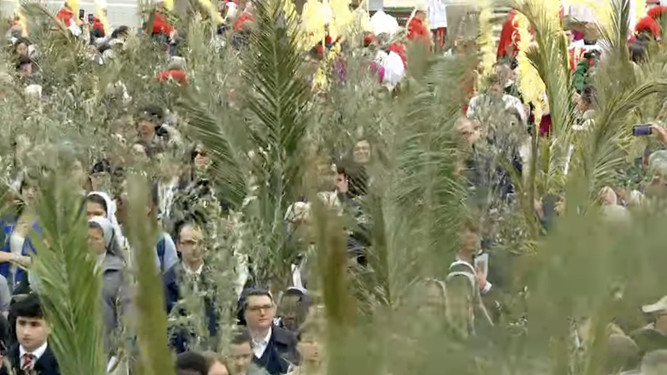 Los fieles portan las palmas y ramos de olivo en la plaza de San Pedro