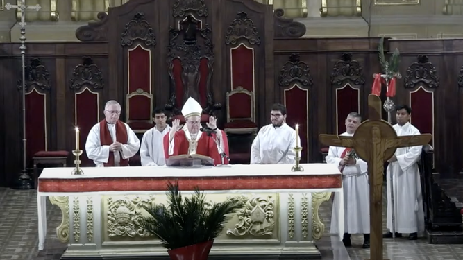Cardenal Rossi. Misa Domingo de Ramos