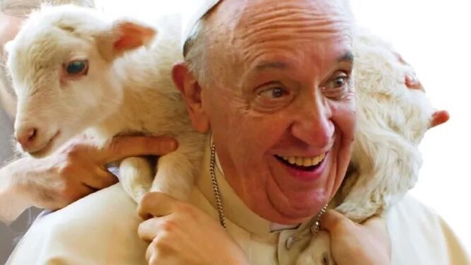Papa Francisco