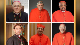 Cardenales Osoro Cobo Collins Leo Gregory y McElroy