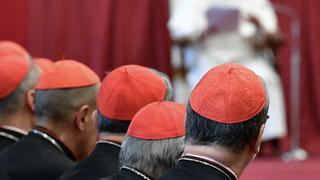 Cardenales
