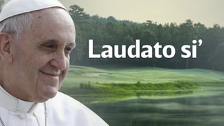 Laudato si