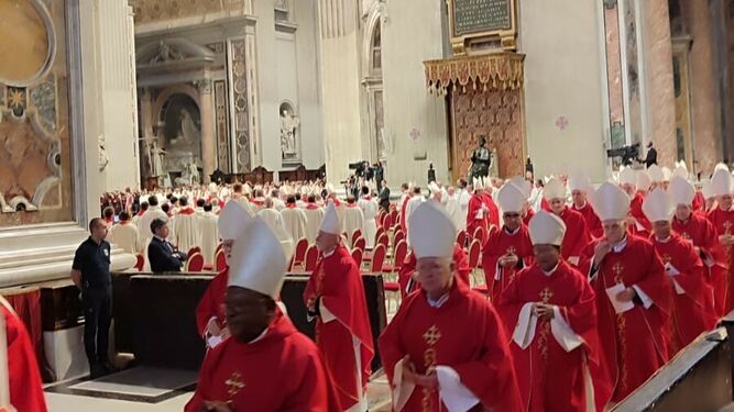 Cardenales en San Pedro