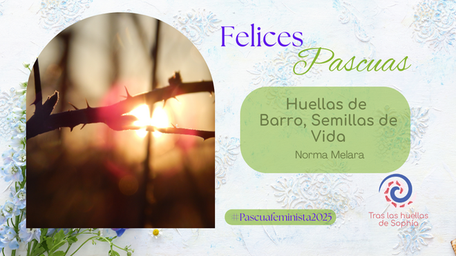 Huellas de Barro