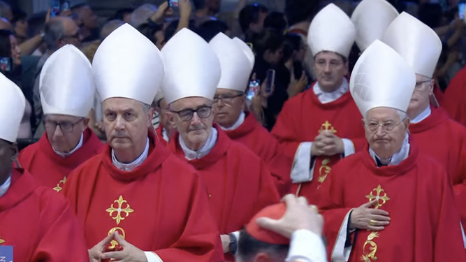 Cardenales