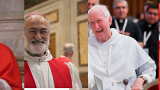 Steiner, López Romero, Radcliffe y David