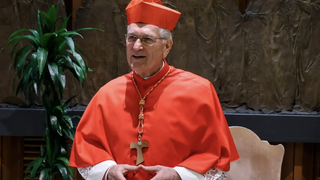 Cardenal Steiner