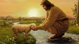 Ser como el Buen Pastor en el ministerio de la evangelización que se nos ha confiado