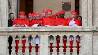Cardenales en el balcón
