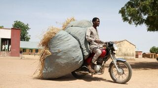 Bauchi. Norte de Nigeria.