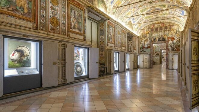 Museos Vaticanos
