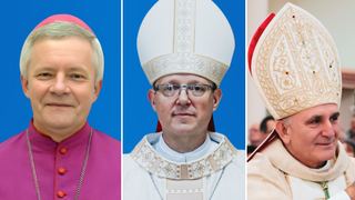 Nombramientos en Brasil